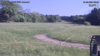 Český Šumburk - 27. 05. 2026, 08:40