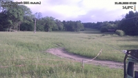 Český Šumburk - 31. 05. 2026, 07:30