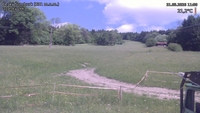 Český Šumburk - 31. 05. 2026, 11:00