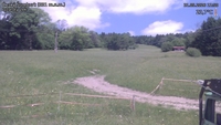 Český Šumburk - 31. 05. 2026, 11:50