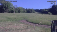 Český Šumburk - 04. 06. 2026, 08:40