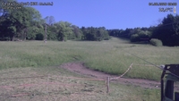 Český Šumburk - 04. 06. 2026, 09:00