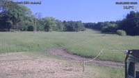 Český Šumburk - 06. 06. 2026, 09:00