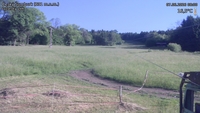 Český Šumburk - 07. 06. 2026, 08:00