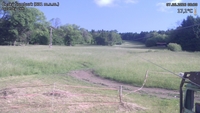 Český Šumburk - 07. 06. 2026, 08:30