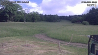 Český Šumburk - 07. 06. 2026, 09:20