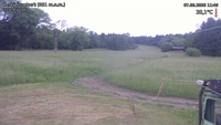 Český Šumburk - 07. 06. 2026, 11:40