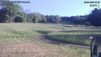 Český Šumburk - 08. 06. 2026, 07:10