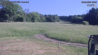 Český Šumburk - 08. 06. 2026, 08:20