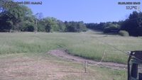 Český Šumburk - 08. 06. 2026, 08:40
