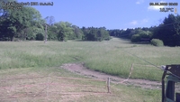 Český Šumburk - 08. 06. 2026, 09:00