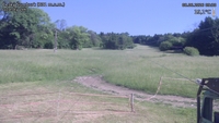 Český Šumburk - 08. 06. 2026, 09:30