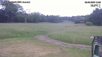 Český Šumburk - 09. 06. 2026, 11:20