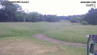 Český Šumburk - 09. 06. 2026, 11:50