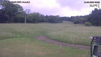 Český Šumburk - 14. 06. 2026, 09:50