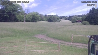 Český Šumburk - 16. 06. 2026, 11:50