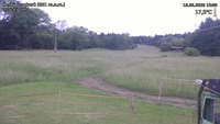 Český Šumburk - 16. 06. 2026, 13:50