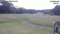 Český Šumburk - 16. 06. 2026, 14:50