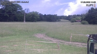 Český Šumburk - 17. 06. 2026, 11:30