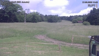 Český Šumburk - 17. 06. 2026, 11:40