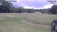 Český Šumburk - 17. 06. 2026, 12:20