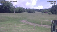 Český Šumburk - 17. 06. 2026, 12:30