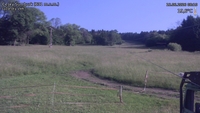 Český Šumburk - 18. 06. 2026, 08:10