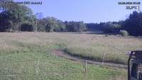 Český Šumburk - 19. 06. 2026, 07:40