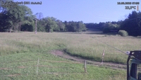 Český Šumburk - 19. 06. 2026, 07:50