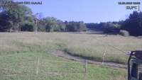 Český Šumburk - 19. 06. 2026, 08:00