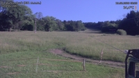 Český Šumburk - 19. 06. 2026, 08:20