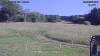 Český Šumburk - 19. 06. 2026, 08:40