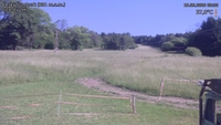 Český Šumburk - 19. 06. 2026, 09:30