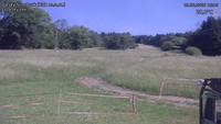Český Šumburk - 19. 06. 2026, 10:10