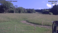 Český Šumburk - 20. 06. 2026, 08:30