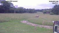 Český Šumburk - 20. 06. 2026, 17:20