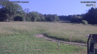 Český Šumburk - 21. 06. 2026, 07:50