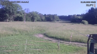 Český Šumburk - 21. 06. 2026, 08:00