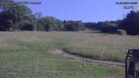 Český Šumburk - 21. 06. 2026, 08:20
