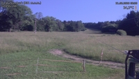 Český Šumburk - 21. 06. 2026, 08:30