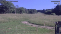 Český Šumburk - 21. 06. 2026, 09:10