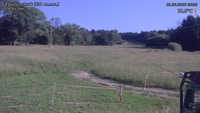 Český Šumburk - 22. 06. 2026, 08:30