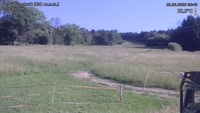 Český Šumburk - 22. 06. 2026, 08:40