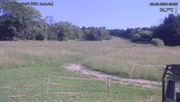 Český Šumburk - 22. 06. 2026, 09:20