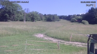 Český Šumburk - 22. 06. 2026, 09:50