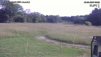 Český Šumburk - 23. 06. 2026, 08:00