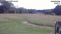 Český Šumburk - 23. 06. 2026, 08:20