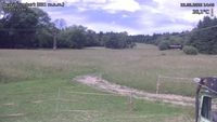 Český Šumburk - 23. 06. 2026, 14:40