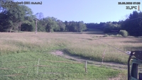 Český Šumburk - 25. 06. 2026, 07:30