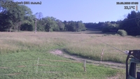 Český Šumburk - 25. 06. 2026, 07:50